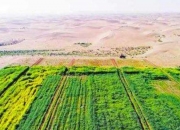 开云体育直播-临时变阵是否能带来新的突破