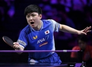 开云下载-中国队轻取德国队，张本智和惊艳四座的简单介绍