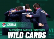 开云体育-年终总决赛碾压戴维斯杯，鲁德状态火热的简单介绍