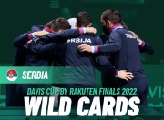 开云体育-年终总决赛碾压戴维斯杯，鲁德状态火热的简单介绍