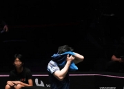 开云下载-包含瑞典乒乓球队绝地反击韩国乒乓球队，张本智和制霸全场的词条