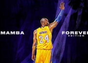 开云体育入口-阿尔卡拉斯，从蒙特卡洛险胜到年终总决赛带队夺冠，一位王者的蜕变之路