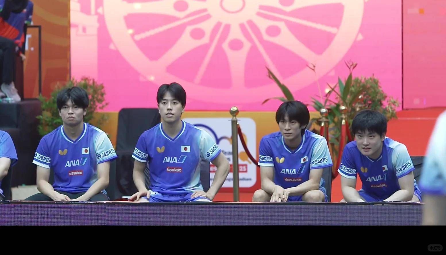 日本乒乓球队绝地反击韩国乒乓球队，张本智和关键制胜的简单介绍