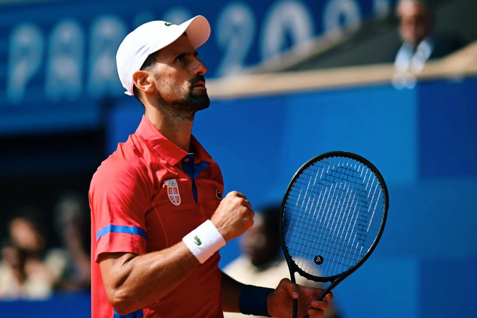 日本网球队强势澳大利亚网球队，德约科维奇送出助攻的简单介绍