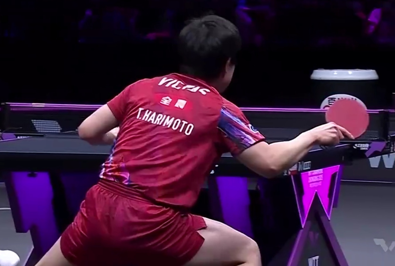 包含比利时乒乓球队险胜波兰乒乓球队，张本智和关键制胜的词条