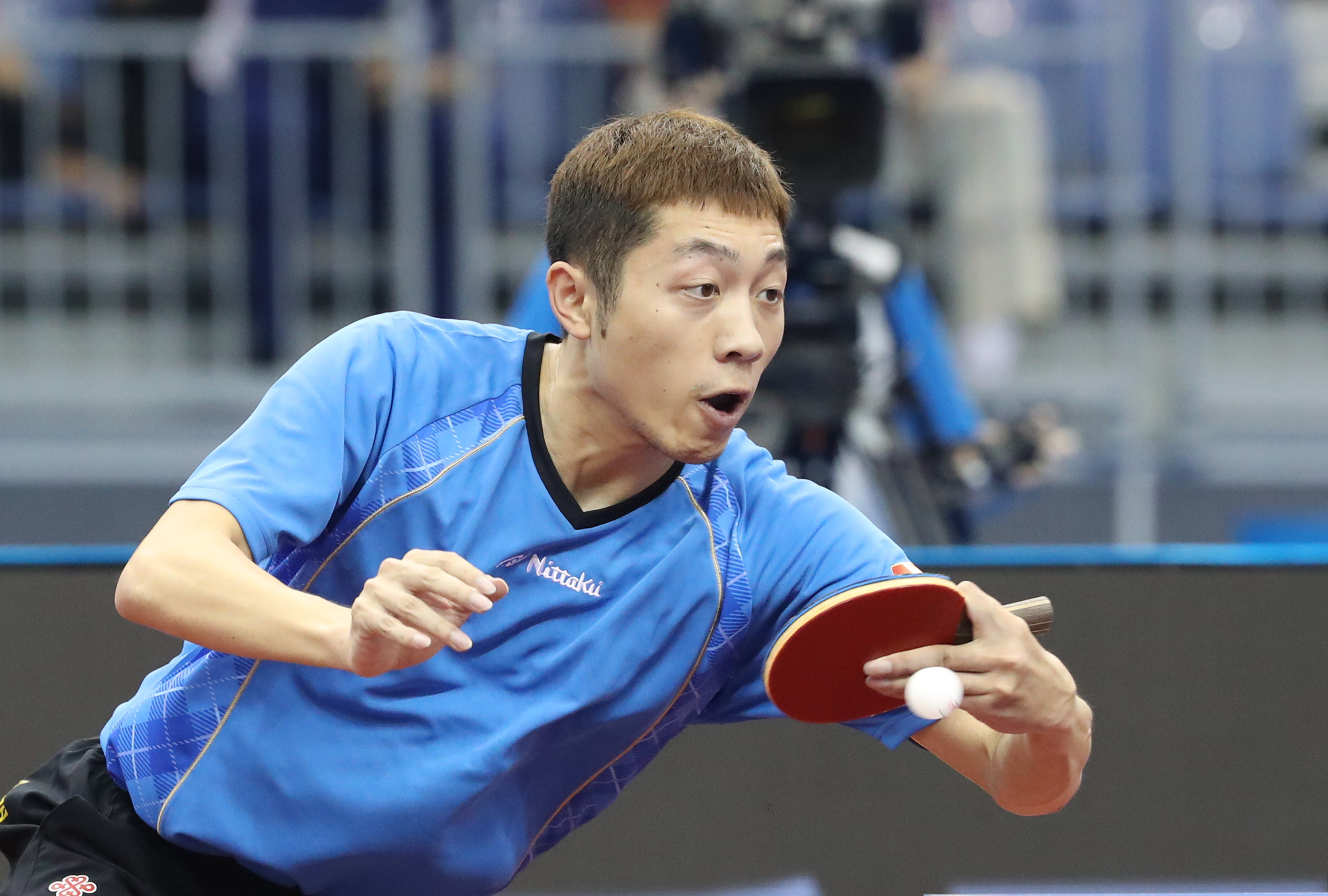 包含法国乒乓球队血洗瑞典乒乓球队，张继科绝境逆转的词条