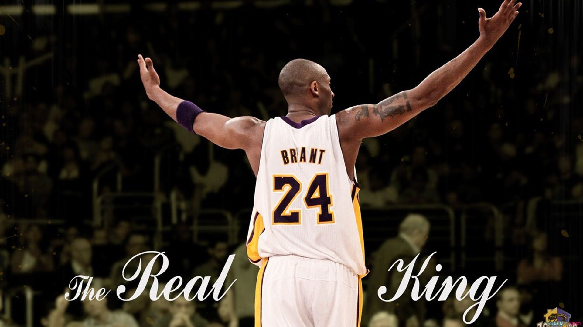 2026世界杯之夜,锡安·威廉姆森的防守铁幕,如何锁死对手的冠军之路