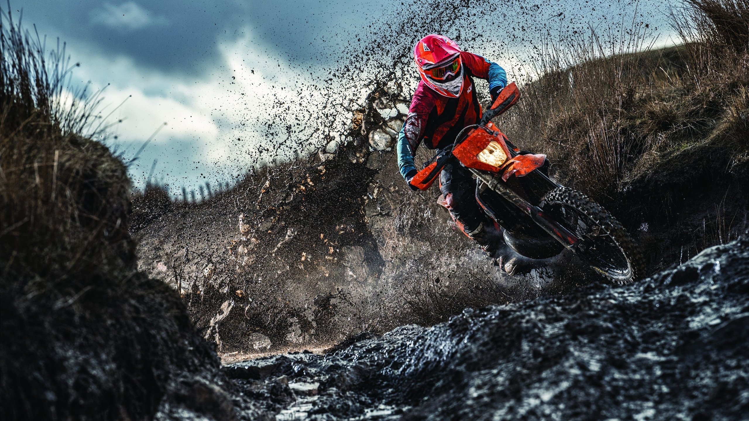 活塞对阵浙江队，当塔图姆的节奏成为唯一法则